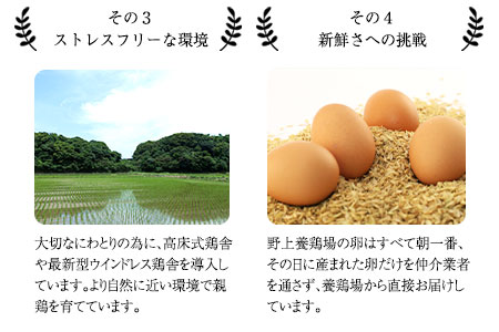 朝獲れ卵 味宝卵 (80個) 卵 Lサイズ 鶏卵 野上養鶏場《90日以内に出荷予定(土日祝除く)》