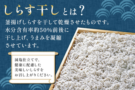 大津港水揚げのしらす干し 1kg[500g×2箱]（茨城県共通返礼品・北茨城市産） A78-009