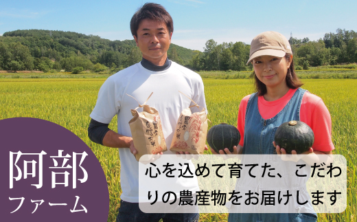 【2026年産先行受付】かぼちゃ10kg　ダークホース　阿部ファーム　北海道当麻町産【AE-001】