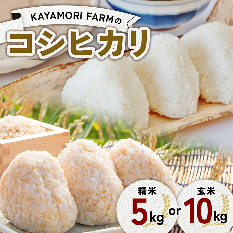 【ふるさと納税】 ≪選べる容量・種類≫ 【R8年産米】KAYAMORI FARMのコシヒカリ 精米5kg / 玄米10kg F6U-470var