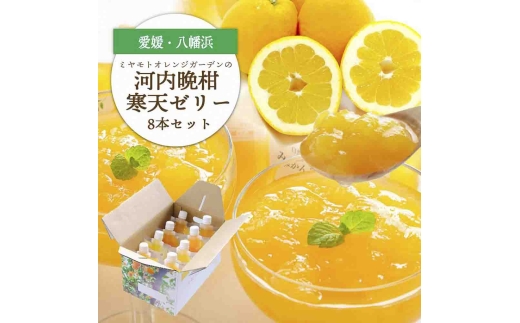 苦味の少ないさっぱり柑橘 和製グレープフルーツ 河内晩柑寒天ゼリー8本セット＜D25-24＞_柑橘 和製グレープフルーツ ゼリー 柑橘寒天ゼリー 飲むゼリー デザート スイーツ 無着色 無香料 ゲル化剤不使用 pH調整剤不使用 愛媛県 八幡浜市【1255531】 YWTAP017