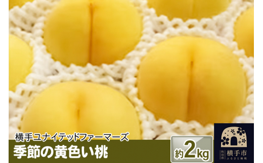 
季節の黄色い桃 約2kg
