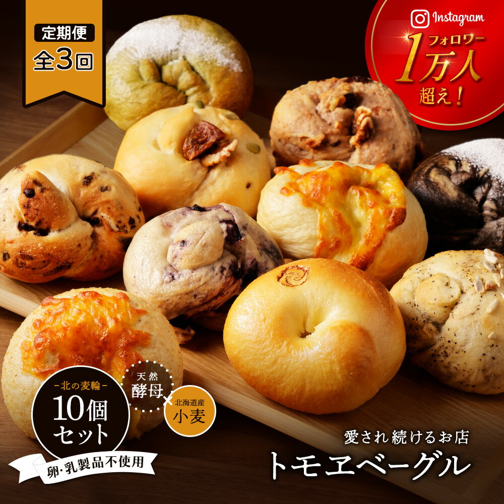 【ふるさと納税】【定期便3回】 トモヱベーグル ギフトセット「北の麦輪（むぎわ）10個セット」 セット パン 国産小麦粉 北海道産 小麦粉 天然酵母 トモヱベーグル ギフトセット 取り寄せ 定期便 定期 ふるさと納税 北海道 恵庭市 恵庭【33000701】