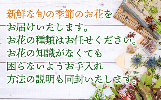 「全3回定期便」季節のアレンジメントフラワーをご寄付の翌月から3回お届け 贈り物やご自宅に 生花 誕生日 プレゼント ギフト おまかせ「2023年 令和5」