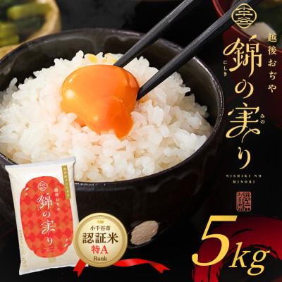 ふるさと納税 小千谷市 【入金確認後、最短5日で出荷】魚沼産コシヒカリ精米 5kg 小千谷市認証米「錦の実り」特Aランク