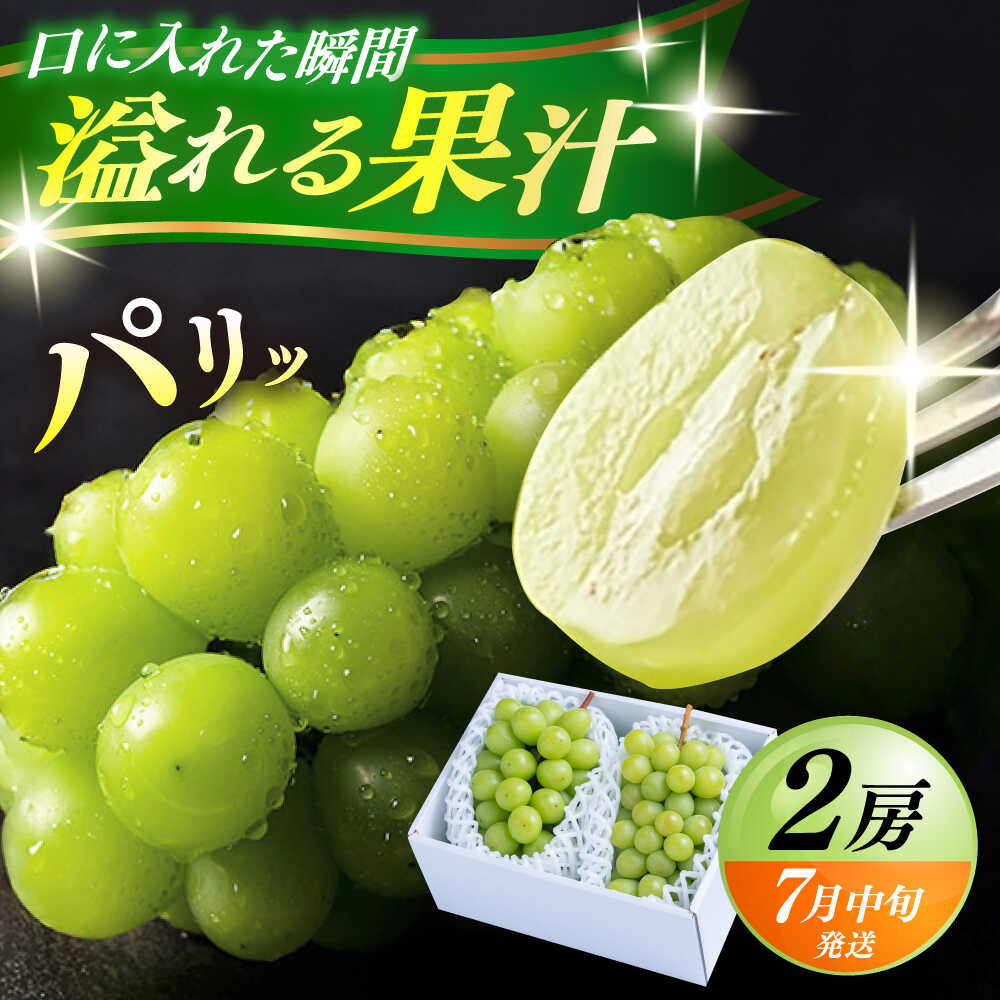 【ふるさと納税】【期間限定】 日田産シャインマスカット2房(約1kg) 日田市 / 南国フルーツ株式会社 ブドウ 葡萄 ぶどう シャインマスカット 2房 20000円 2万円[ARET002]