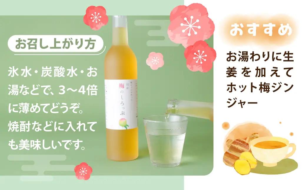 梅 シロップ 国産 梅のしろっぷ 2本セット