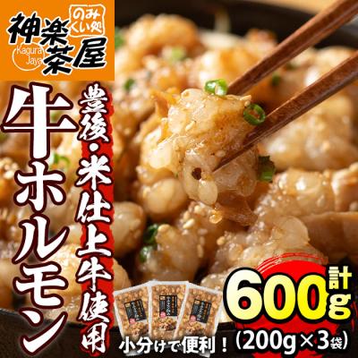 ふるさと納税 宇佐市 豊後米仕上げ牛牛ホルモン炒め 200g×3【111100502】【かぐら】