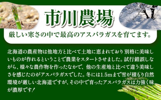 【1-6-69】【令和7年先行受付】市川農場とれたて極太グリーンアスパラ1kg