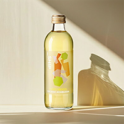 【ふるさと納税】 SHIP KOMBUCHA YUZU HEADS ユズヘッズ (300ml×12本セット)【配送不可地域：離島】【1148439】