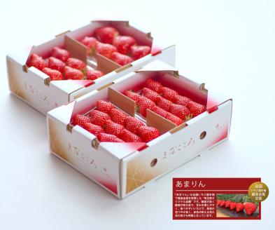 ＼ 期間限定 特別寄附額 ／ あまりん【4パック×260g】まなこころ・葵 いちご