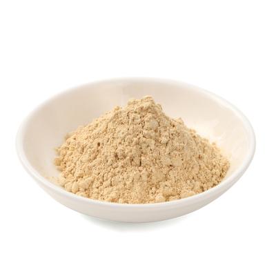 ふるさと納税 長井市 長井産菊芋(きくいも)パウダータイプ(粉末)100g×5袋_E137 |  | 01