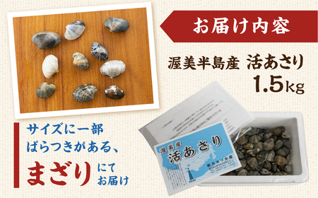 《先行予約》旬の渥美産 天然 活あさり 1.5kg 先行予約 ふるさと納税 あさり 国産 アサリ 採れたて ふるさと納税 砂抜き 海鮮 魚介類 魚介 貝 送料無料 産地直送 応援 寄附