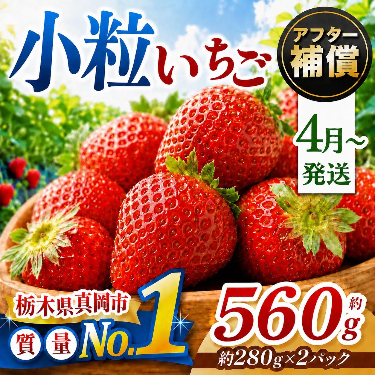 【先行予約受付中】【2027年4月発送】小粒 とちあいか 約560g （280g×2パック）