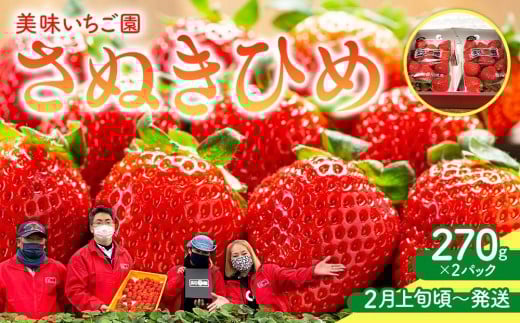 【2月上旬頃～発送】美味いちご園「さぬきひめ」さぬきひめ 270g×2パック