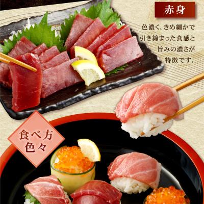 ふるさと納税 室戸市 【厳選天然本まぐろ】大トロ・中トロ・赤身 500g |  | 03