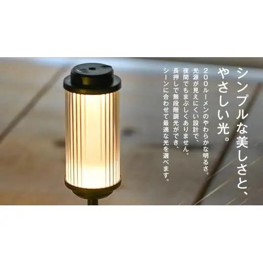 LED ランタン 38灯 ASINOSTANDSET Dリング付き ホワイト  3点セット 38explore