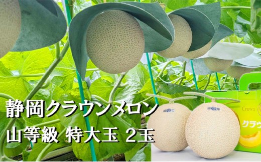 
クラウンメロン【上（山等級）】特大玉（1.5kg前後）2玉入り 人気 厳選 ギフト 贈り物 デザート グルメ 果物 袋井市
