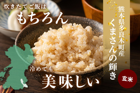 【令和7年産 玄米 】10月中旬～発送 多良木町産「くまさんの輝き」 玄米 30kg 米どころ 多良木町 たらぎ 新米 玄米 上原農園 農家直送 熊本県 30キロ 119-0501