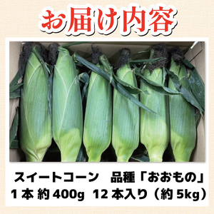 とうもろこし スイートコーン おおもの 12本 約5kg 【 とうもろこし 】 