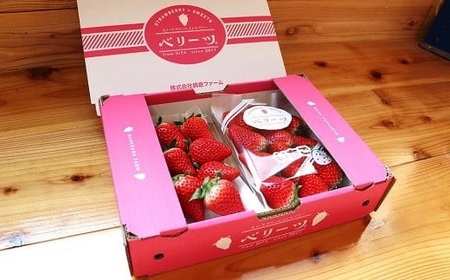 0B3-08 【先行予約】大分県ブランドいちご「ベリーツ」大粒（280g×2パック）