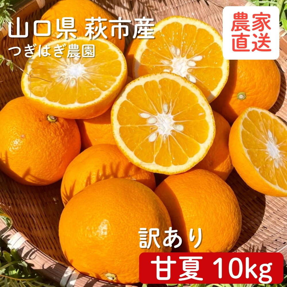 みかん 甘夏 10kg セット 『つぎはぎ農園日記』つぎはぎセット 果物 柑橘 ミカン フルーツ