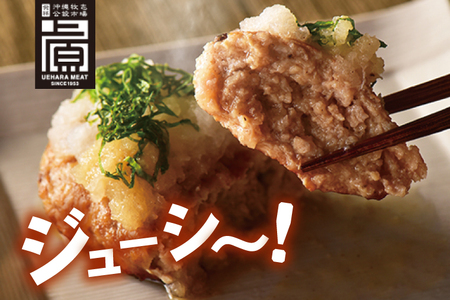 あぐーハンバーグセット(20個入)｜ハンバーグ あぐーハンバーグ あぐー 肉 お肉 豚肉 肉料理 おかず セット 沖縄 おきなわ 豊見城市(AG038)