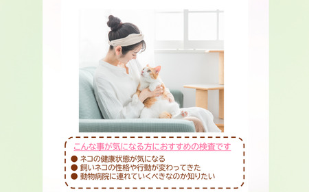 獣医師監修 ネコ体毛ホルモン量測定キット コルチゾール ネコの慢性ストレスチェック 簡単測定 検査キット