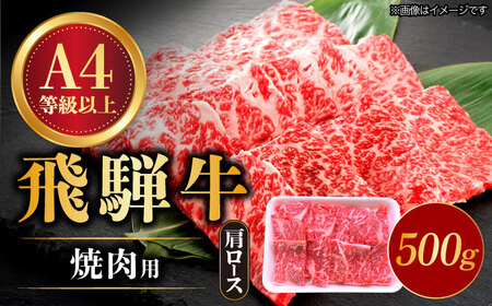 飛騨牛 焼肉用 ロース・肩ロース 500g A4等級以上 [TAZ030] 焼肉 焼肉 焼肉 焼肉 焼肉 焼肉 焼肉 