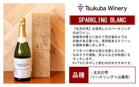 ワイン SPARKLING BLANC スパークリングブラン 日本ワイン