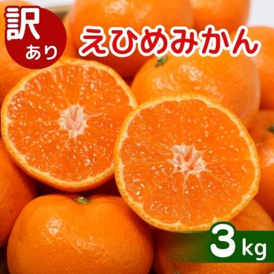 ふるさと納税 愛南町 【先行予約】訳あり 愛媛みかん 3kg 発送時期 2026年11月以降 清家ばんかんビレッジ