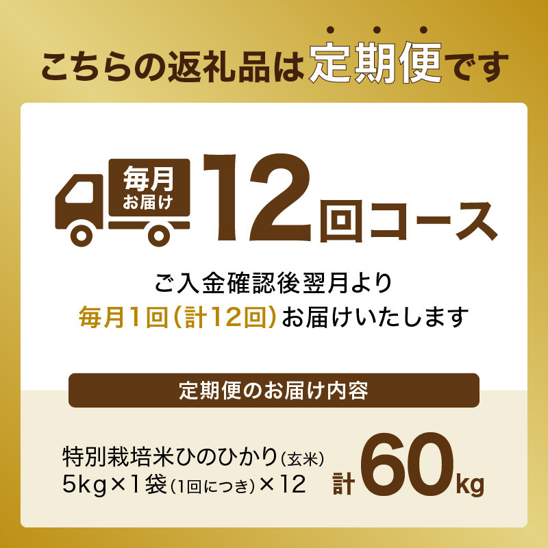 【定期便12か月】<特別栽培米>京都府木津川市産ひのひかり 玄米60kg(5kg×12回） 毎日の健康に
