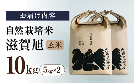 【先行予約】令和8年産 新米 滋賀旭 10kg 玄米 [AQCP041]