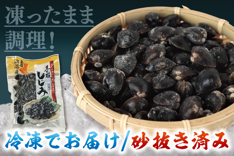 【全6回隔月定期便】茨城県涸沼川産 だしの濃さに違いが出る！手掘しじみ（砂抜き）500g×4個（2kg）【涸沼川 シジミ オルニチン 味噌汁 スープ 茨城県 水戸市】（MS-12）