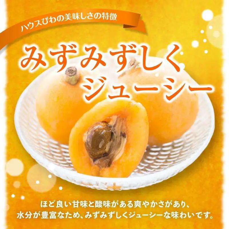 ハウスびわ 約1kg【2026-4月中旬～2026-5月上旬配送】| びわ