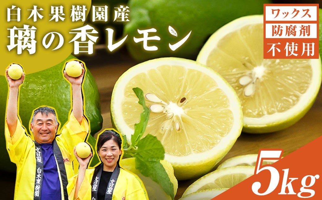 
                  【先行予約】璃の香レモン 約5kg（12～25個） レモン れもん お取り寄せ 産地直送 高知県 土佐市 先行予約 高知県 土佐市【白木果樹園】[BQAI026]
                