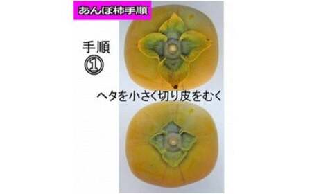 【県認定エコファーマー】あんぽ柿用生渋柿（平たねなし柿） 約15kg 54～72個【art002】