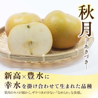 あきづき 梨 3kg 6～10玉 【2026年収穫分】かすみがうら市【配送不可地域：離島・沖縄県】