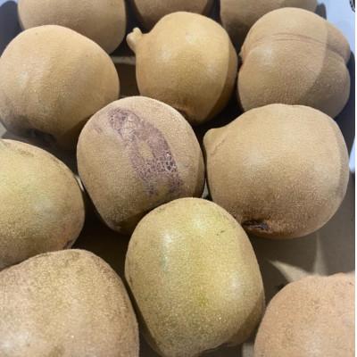 ふるさと納税 東かがわ市 訳ありさぬきゴールドキウイ　約1.5kg |  | 01