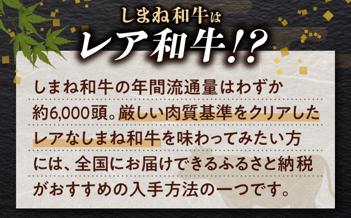 【ブランド牛・しまね和牛】小間切れ 500g×2パック カレー・シチュー用 島根県松江市/Do corporation株式会社（しまね和牛） [ALFU015]