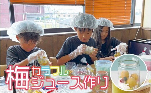 カラフル梅ジュースづくり体験ペアチケット A-006b