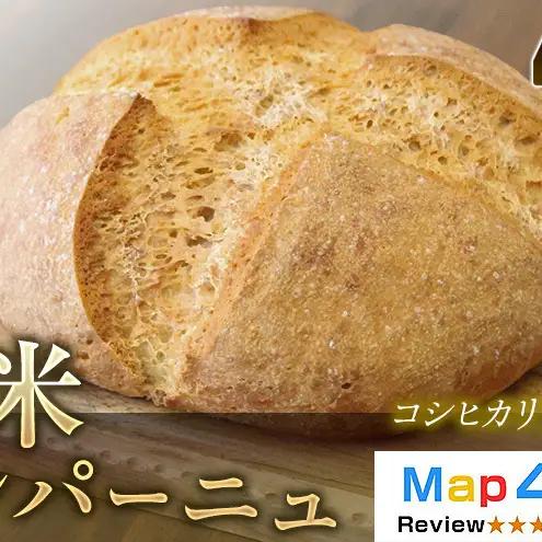 【定期便6ヶ月】【コシヒカリ玄米使用】生米仕込みで噛むほどに広がる旨み 京都産コシヒカリ 玄米カンパーニュ（12カット）1セット カンパーニュ パン 米粉パン グルテンフリー 玄米パン 国産米 アレルギー対応