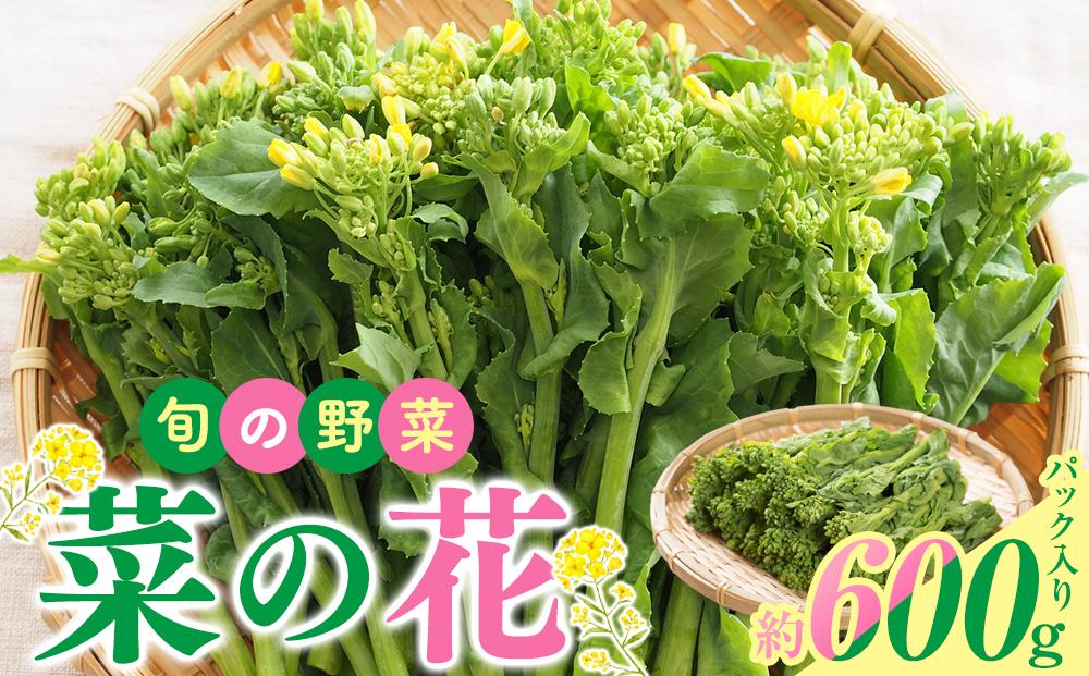 旬の野菜 菜の花 (パック入り) 約600g【2025-12月上旬～2026-3月下旬配送】 372013_T006-279J