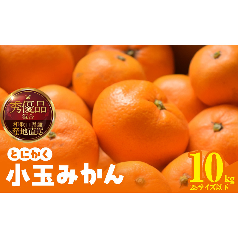 【2026年先行予約】みかん とにかく 小玉 箱込 10kg ( 内容量 9.2kg ) 2Sサイズ以下 秀品 優品 混合 有田みかん 和歌山県産 産地直送 【みかんの会】_MK1041