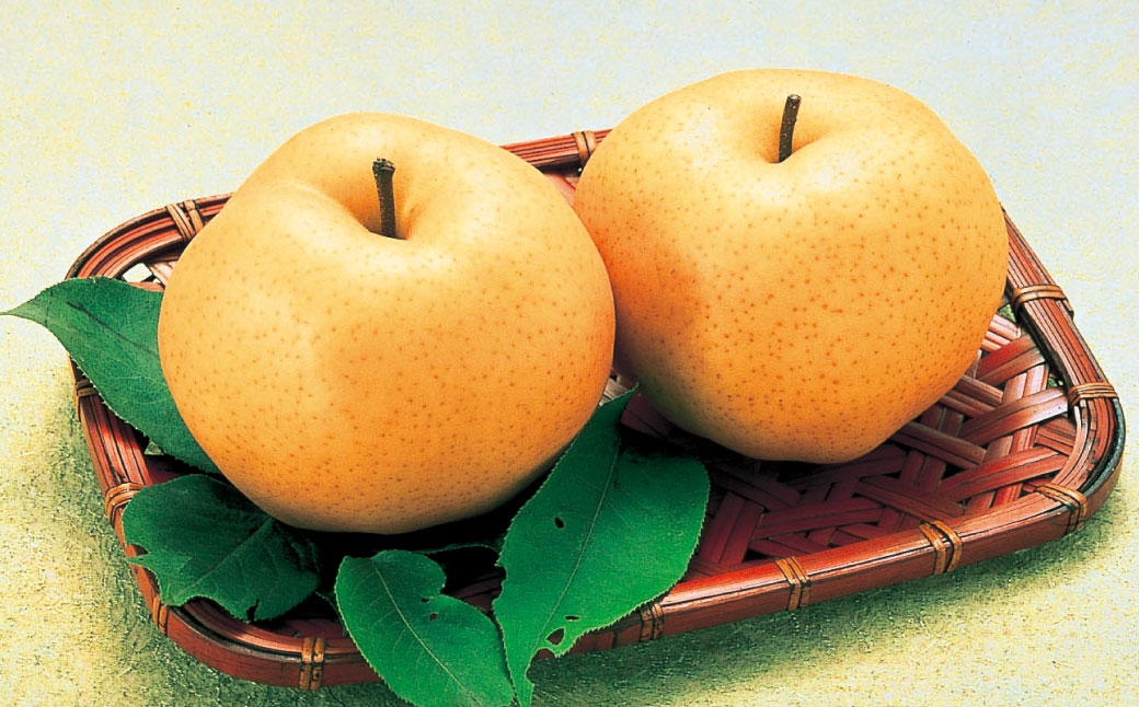 あたご梨青秀以上化粧箱入り合計約4.0kg3から6玉