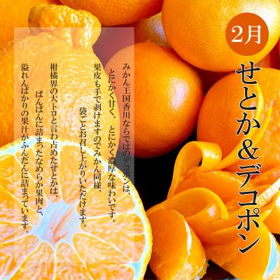ふるさと納税 坂出市 【発送月固定定期便】冬のいいとこどり定期便(12月・1月・2月)全3回 |  | 03