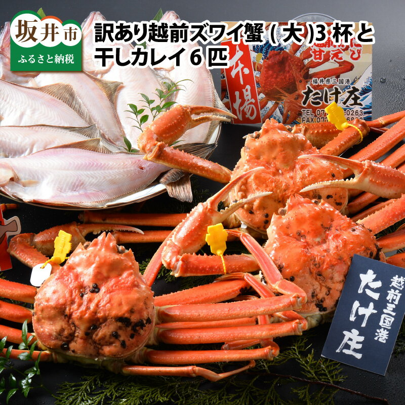【ふるさと納税】【先行予約】 訳あり カニ ≪茹で≫越前ズワイ蟹(大) 3杯 と 干しカレイ 6匹【2026年1月〜3月発送】越前がに 越前ガニ ズワイガニ 国産 県産
