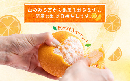 【秀品】【先行予約】岡村農園の不知火 3kg しらぬい 果物 ミカン 蜜柑 柑橘 フルーツ 化粧箱入り 12000円 1万円 国産 送料無料 dp003