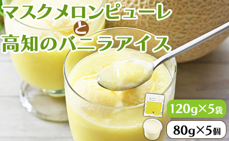 メロンピューレ バニラアイスクリーム 5個セット【バニラアイス ピューレ アイスセット ピューレ JALファーストクラス機内食採用 ピューレ テレビで紹介 メロンピューレ】 tn-0021
