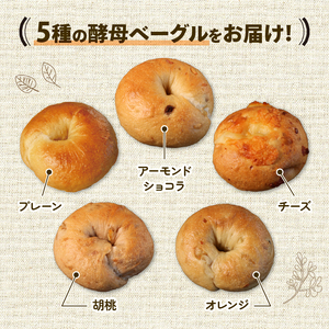 酵母ベーグルセット 10個(5種×2個) 国産 小麦＆自家培養酵母100％ ( パン 惣菜パン 冷凍パン 無添加 天然酵母 冷凍 詰め合わせ セット 国産 小麦 朝食 朝ごはん お取り寄せ 食べ比べ 